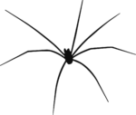 Spider SVG Long-Legged Sketch Vector