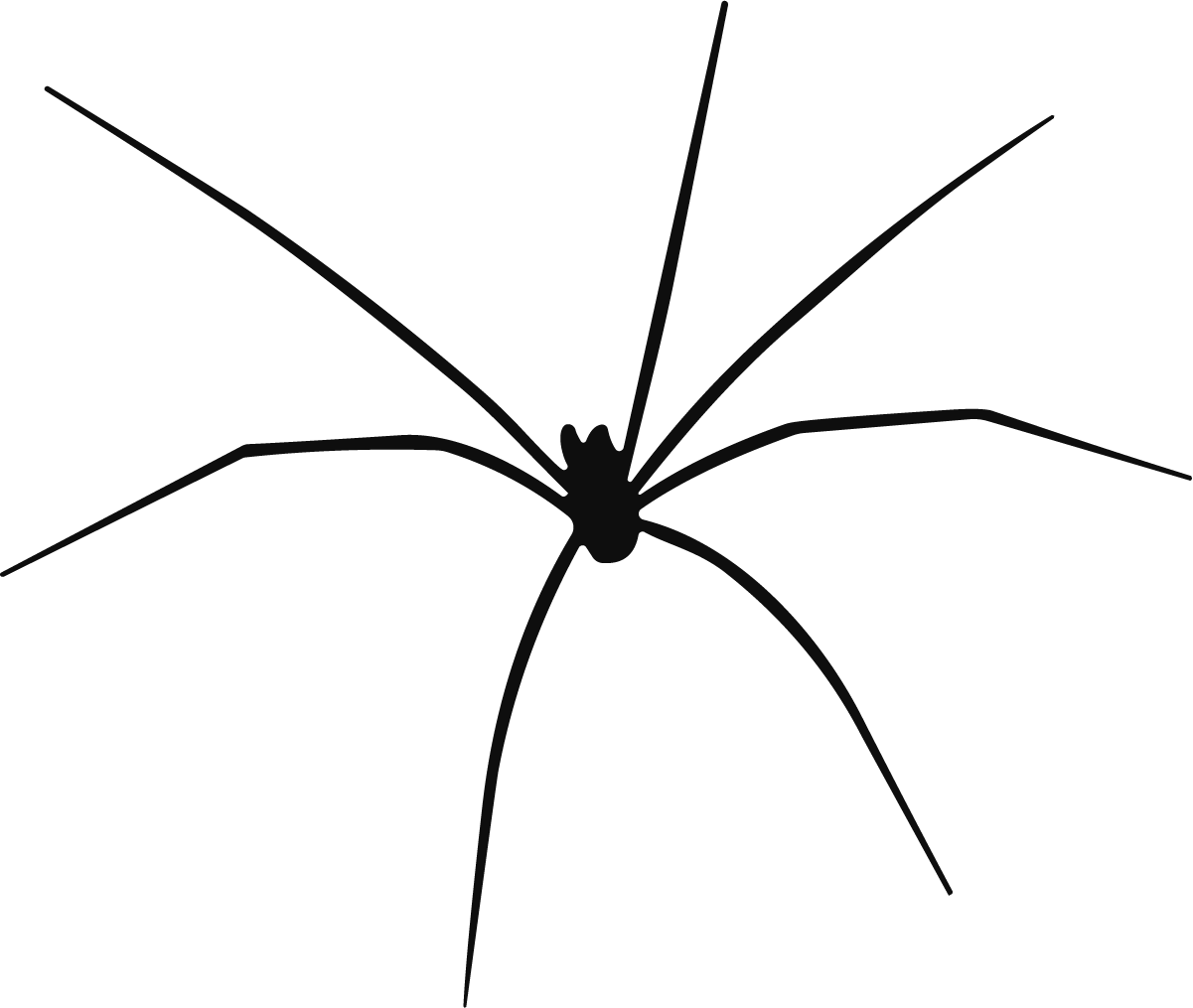 Spider SVG Long-Legged Sketch Vector - Image 1