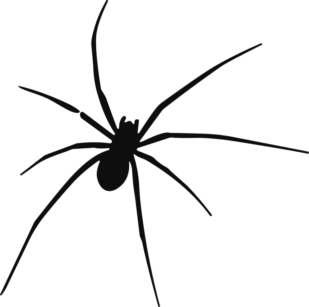 Spider Silhouette SVG Creepy Crawly Vector