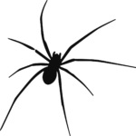 Spider Silhouette SVG Creepy Crawly Vector