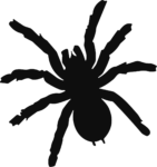 Spider Silhouette SVG Creepy Crawly Vector