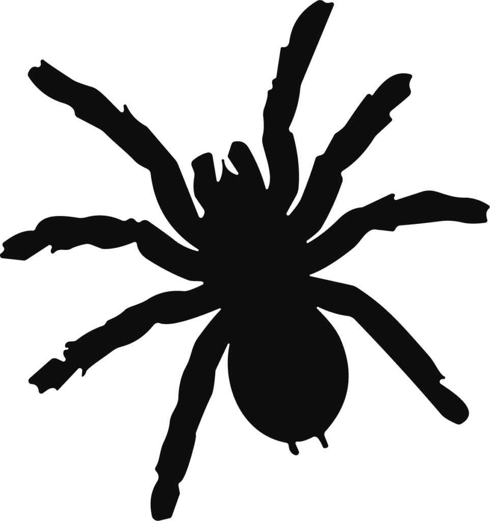 Spider Silhouette SVG Creepy Crawly Vector