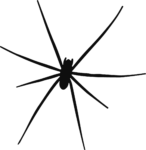 Spider Silhouette SVG Long Legged Vector