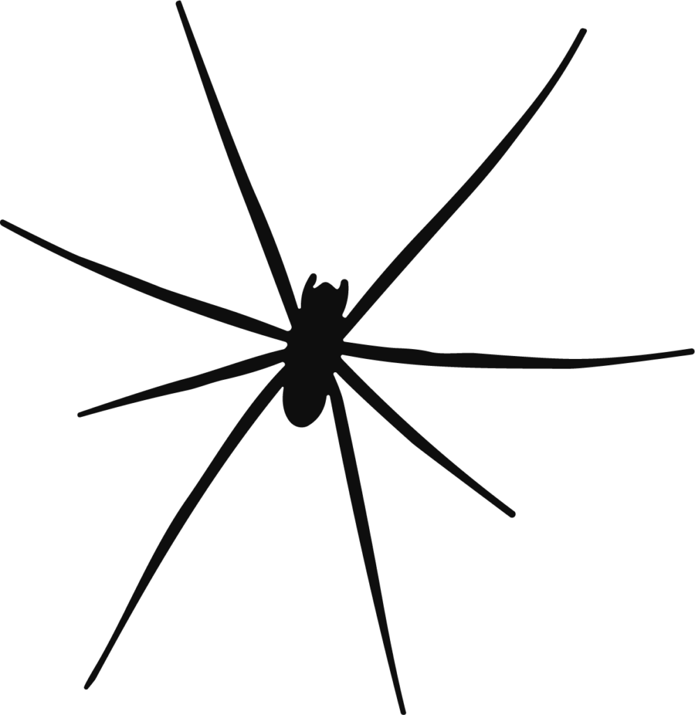 Spider Silhouette SVG Long Legged Vector