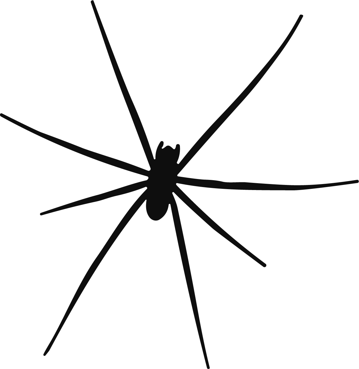 Spider Silhouette SVG Long Legged Vector - Image 1