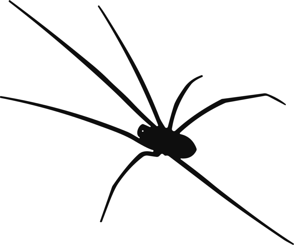Spider Silhouette SVG Long-Legged Creepy Vector