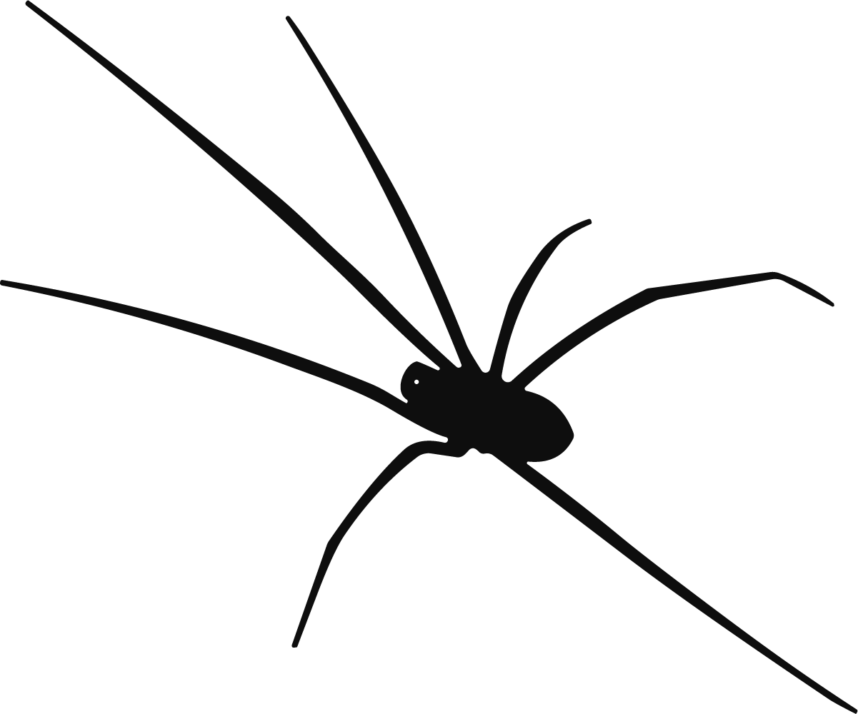 Spider Silhouette SVG Long-Legged Creepy Vector - Image 1