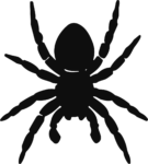 Spider Silhouette SVG Creepy Crawly Vector