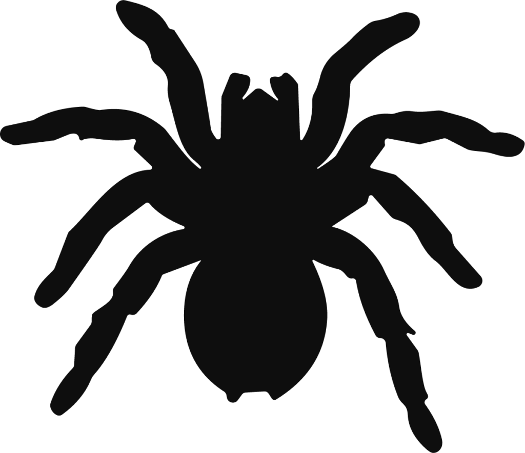 Spider Silhouette SVG Creepy Crawly Vector