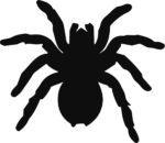 Spider Silhouette SVG Creepy Crawly Vector