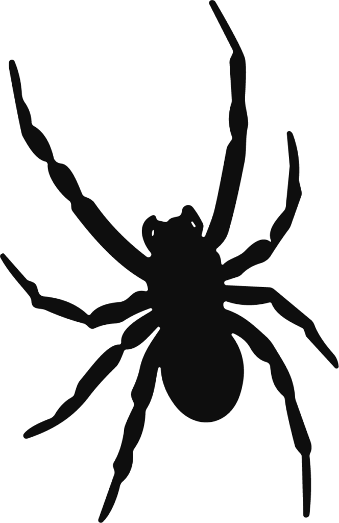 Spider Silhouette SVG Creepy Crawly Vector