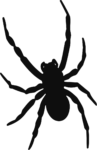 Spider Silhouette SVG Creepy Crawly Vector
