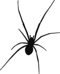 Spider Silhouette SVG Eerie Crawler Vector