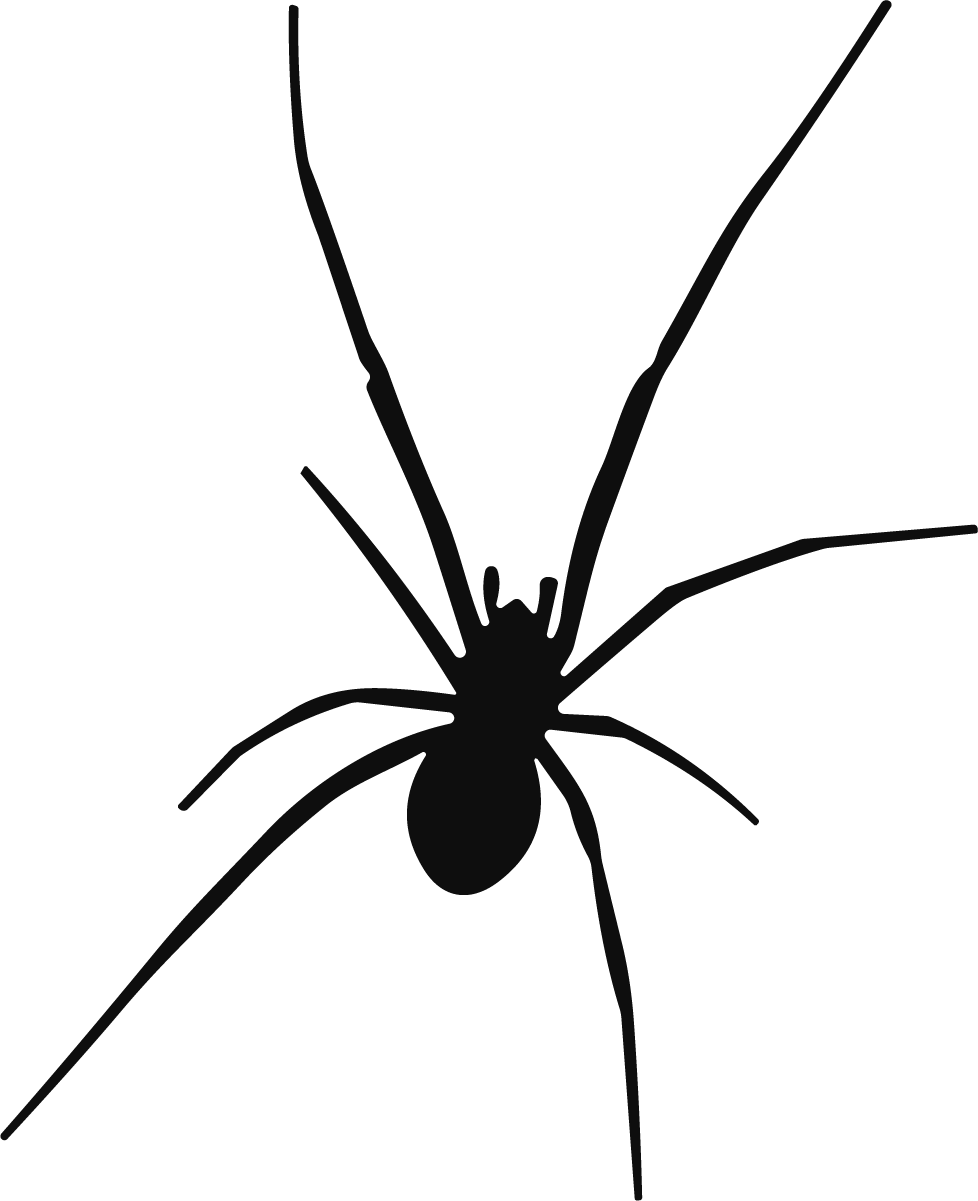 Spider Silhouette SVG Eerie Crawler Vector - Image 1