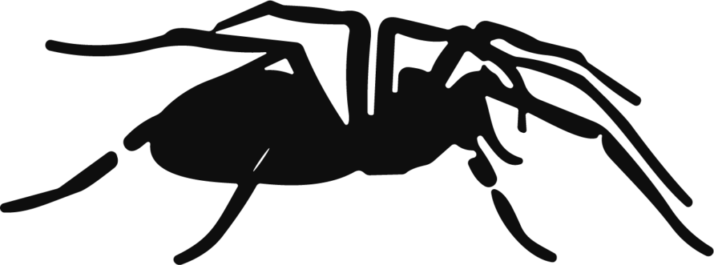 Spider Silhouette SVG Bold Vector