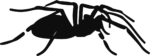Spider Silhouette SVG Bold Vector
