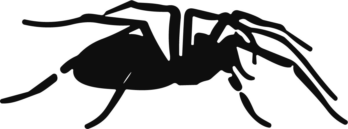 Spider Silhouette SVG Bold Vector - Image 1