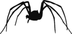 Spider Silhouette SVG Creepy Crawler Vector
