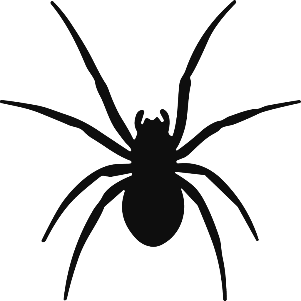 Spider Silhouette SVG Creepy Crawly Vector