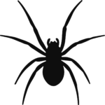 Spider Silhouette SVG Creepy Crawly Vector