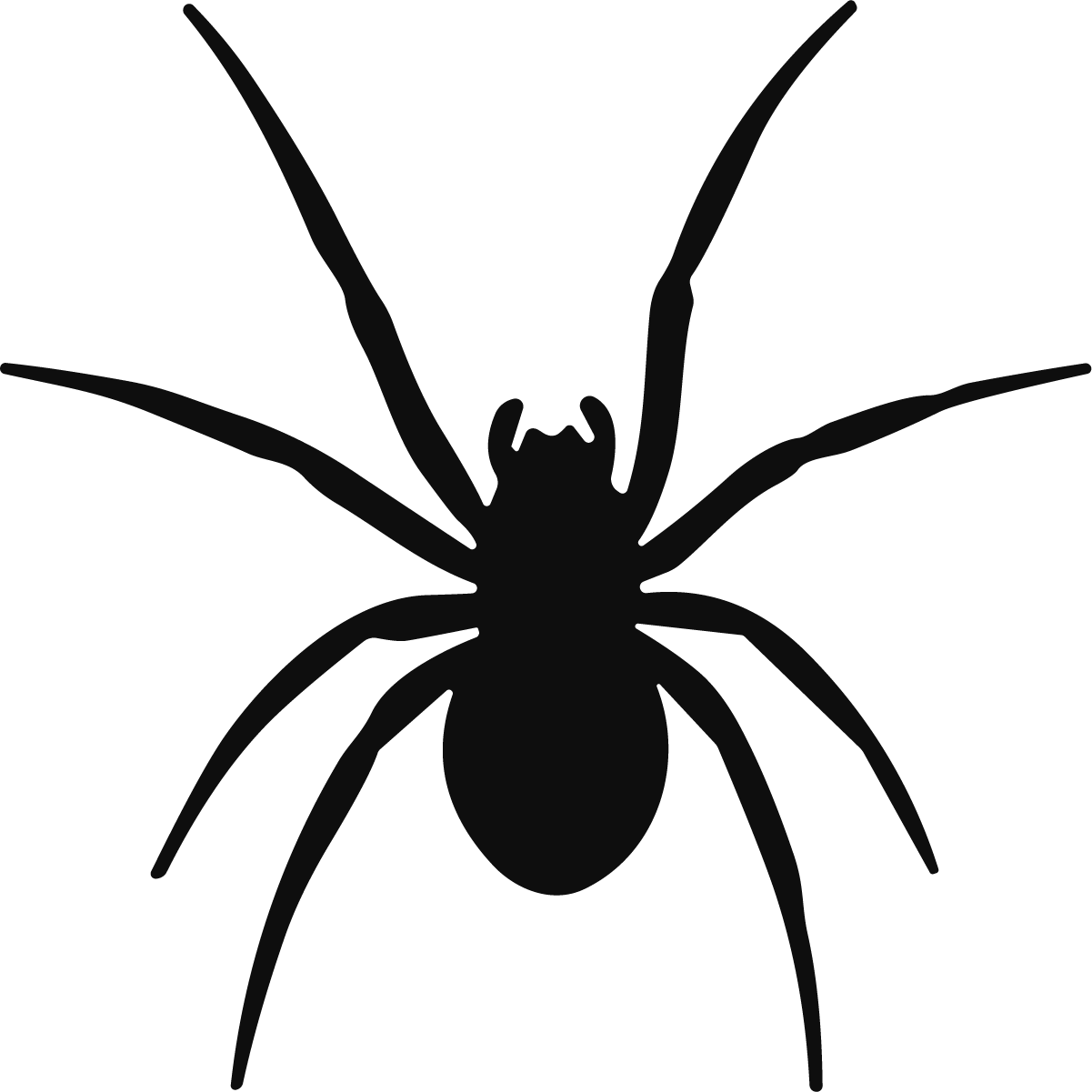 Spider Silhouette SVG Creepy Crawly Vector - Image 1