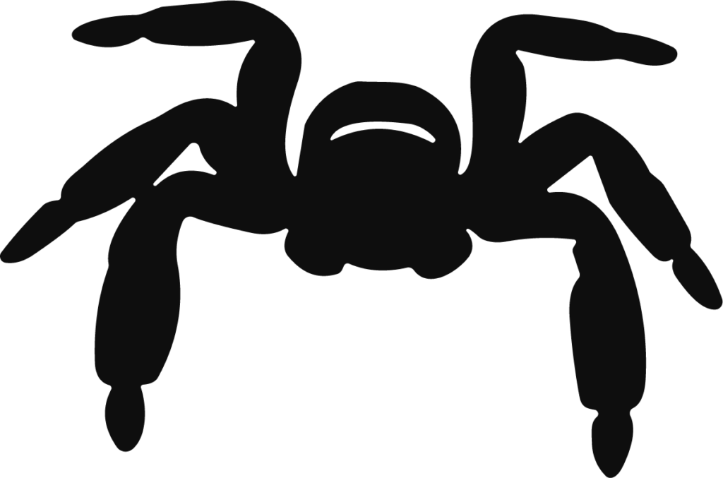 Spider Silhouette SVG Creepy Crawly Vector