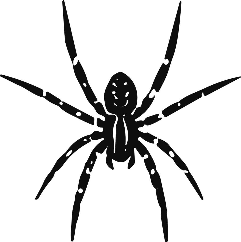 Spider SVG Creepy Crawler Vector