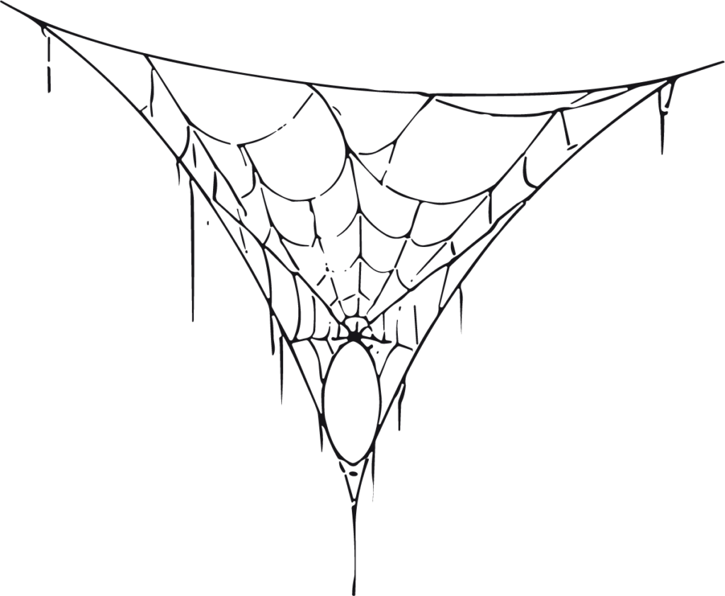 Spider Web SVG Creepy Sketch Vector