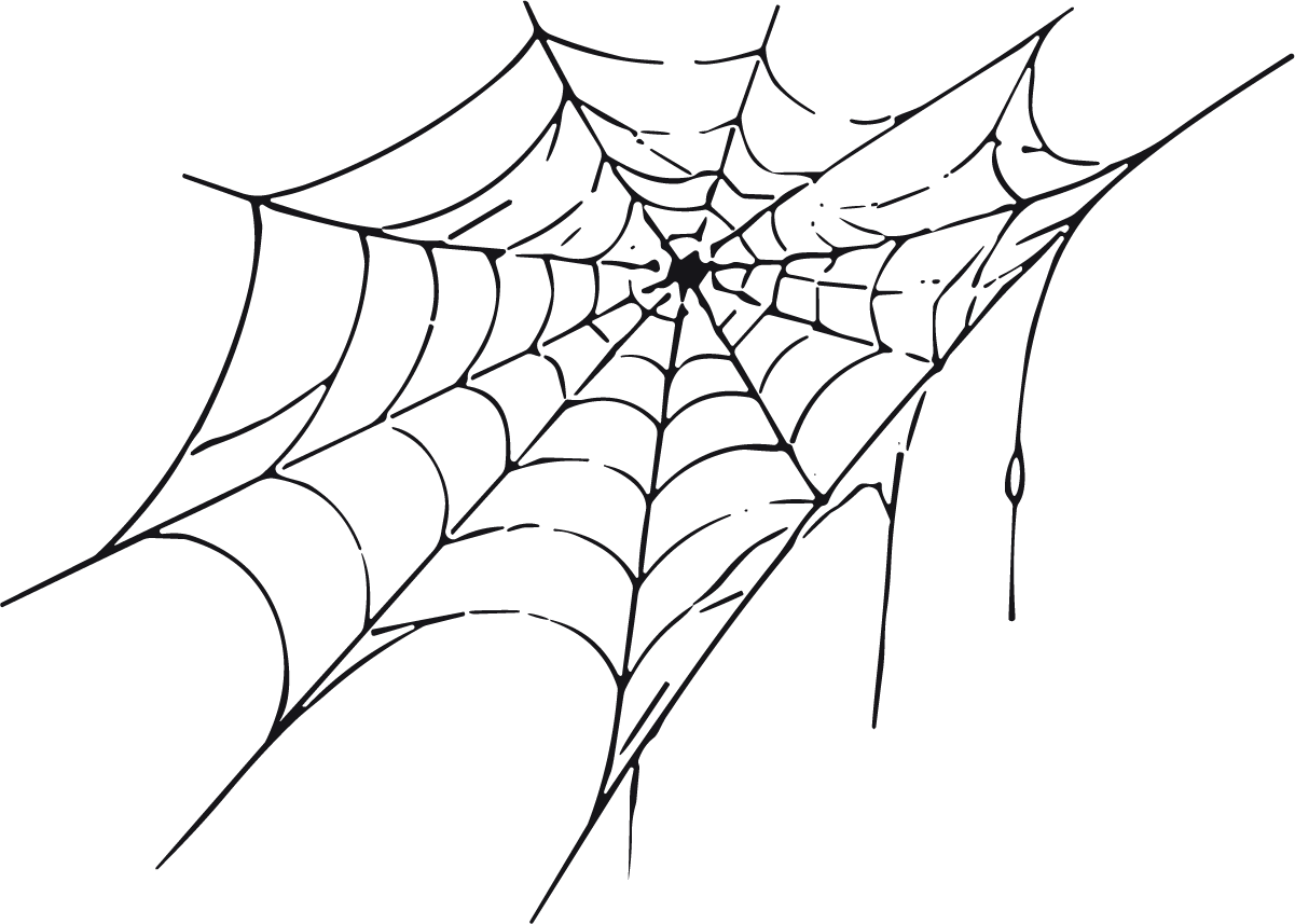 Spider Web SVG Spooky Sketch Vector - Image 1
