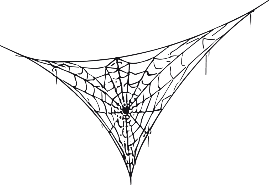 Spider Web SVG Tattered Cobweb Vector