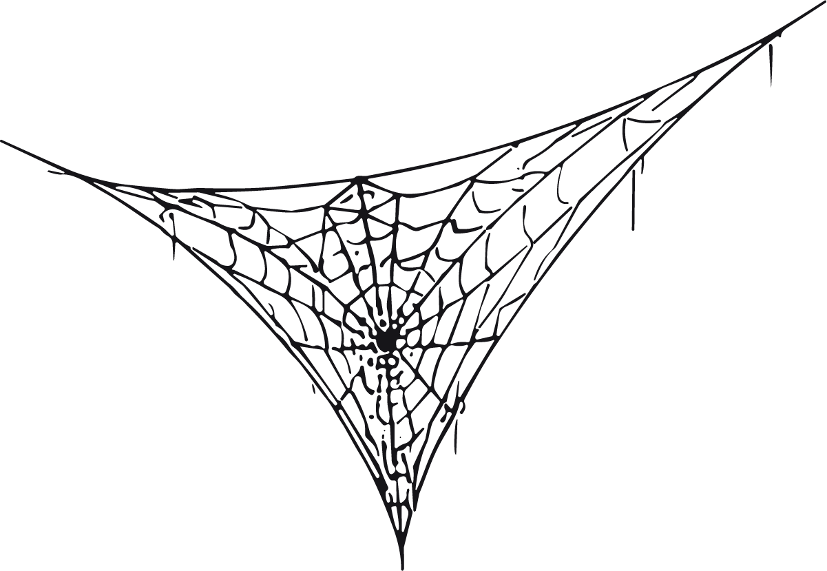 Spider Web SVG Tattered Cobweb Vector - Image 1