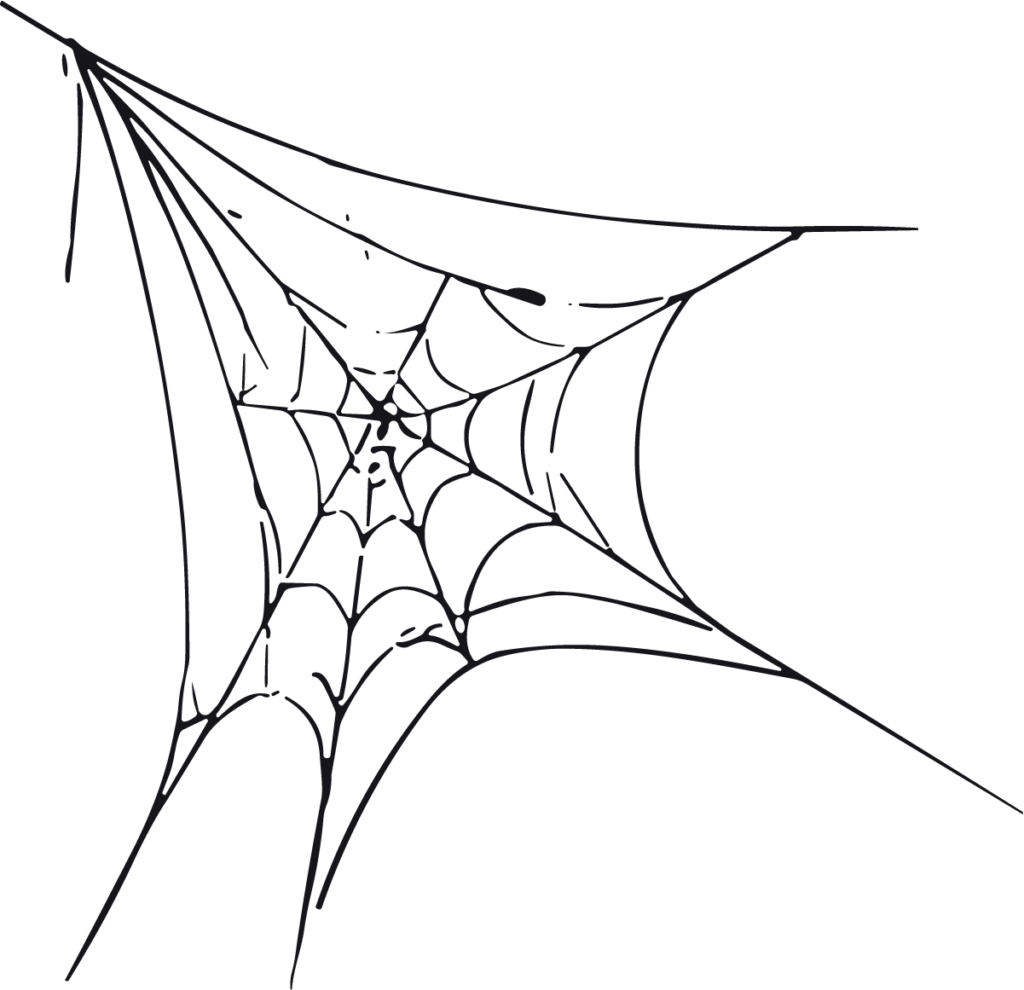 Spider Web SVG Sketchy Corner Vector