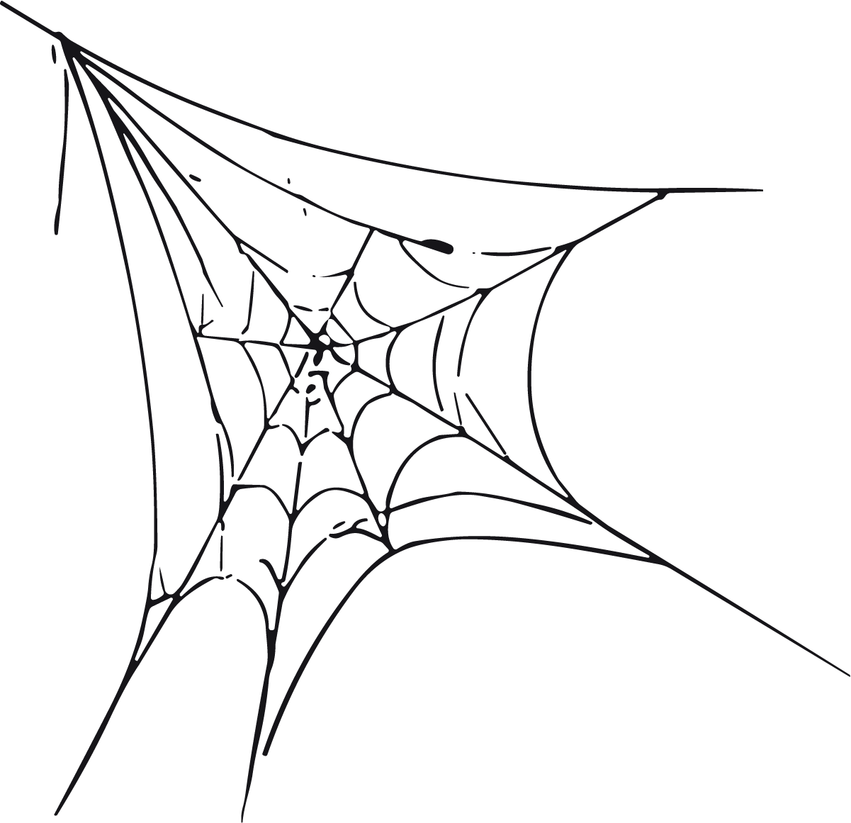 Spider Web SVG Sketchy Corner Vector - Image 1