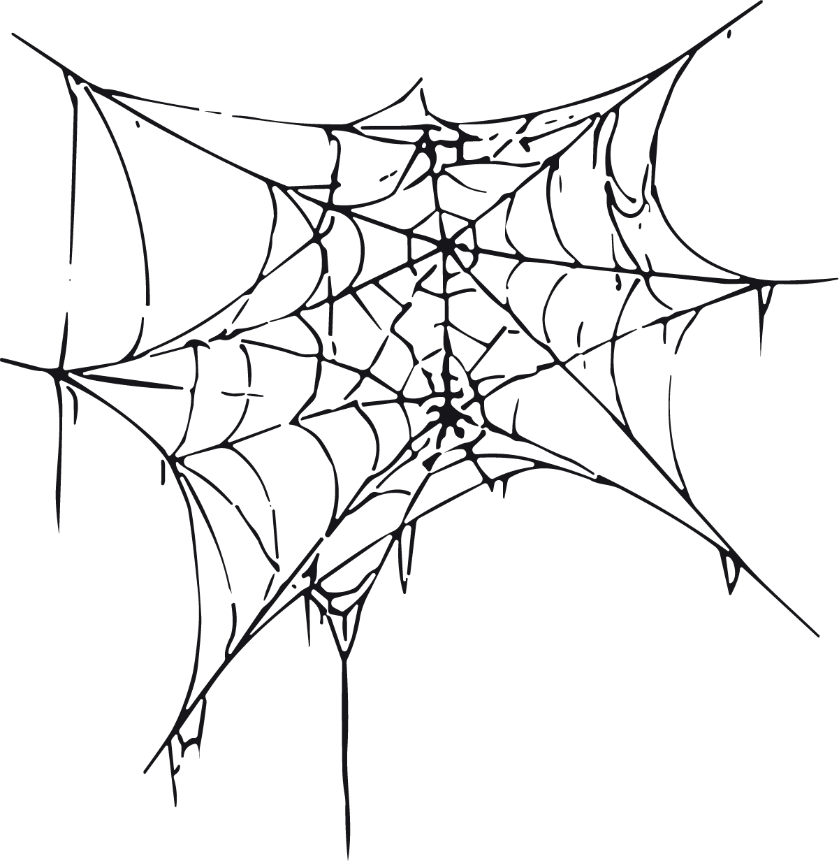 Spider Web SVG Spooky Sketch Vector - Image 1