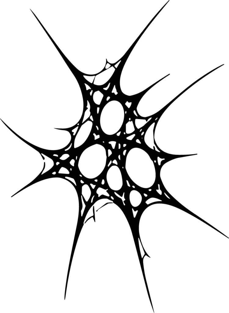 Spider Web SVG Jagged Fractal Vector