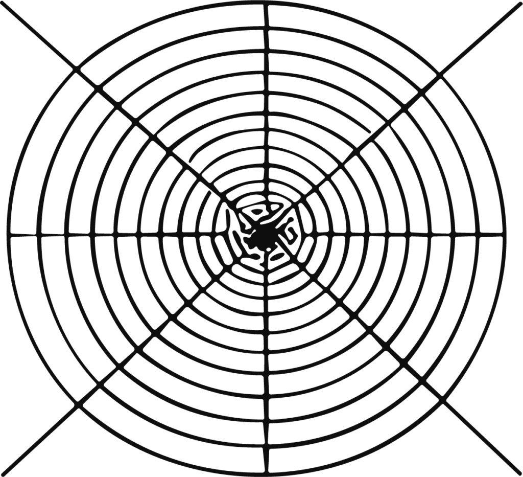 Spider Web SVG Concentric Rings Vector