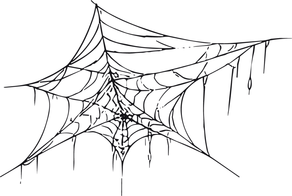 Spider Web SVG Spooky Sketch Vector