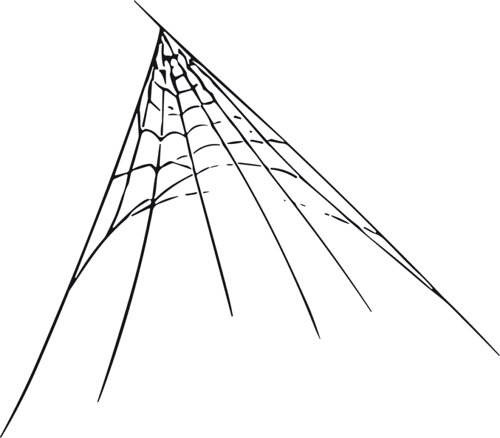 Spider Web Corner SVG Spooky Vector