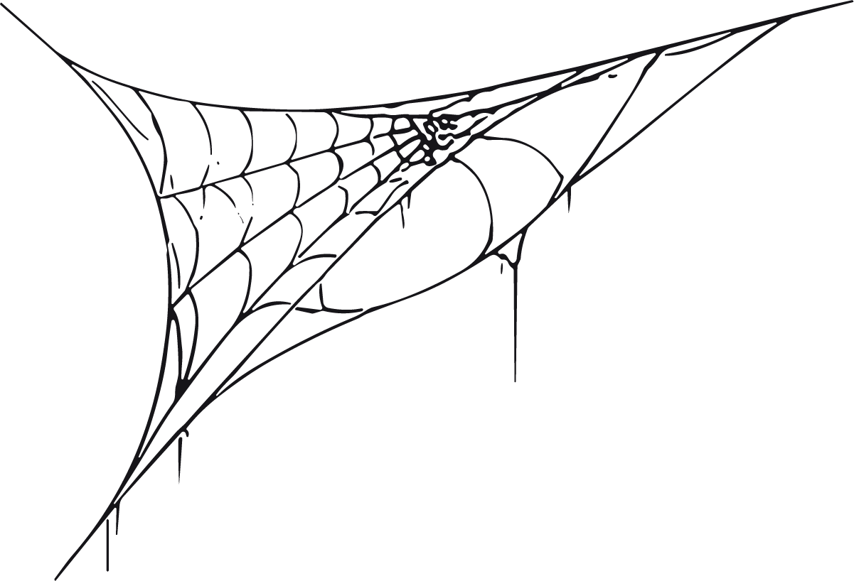 Spider Web Corner SVG Spooky Sketch Vector - Image 1