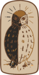 Split Owl SVG Contrasting Halves Vector