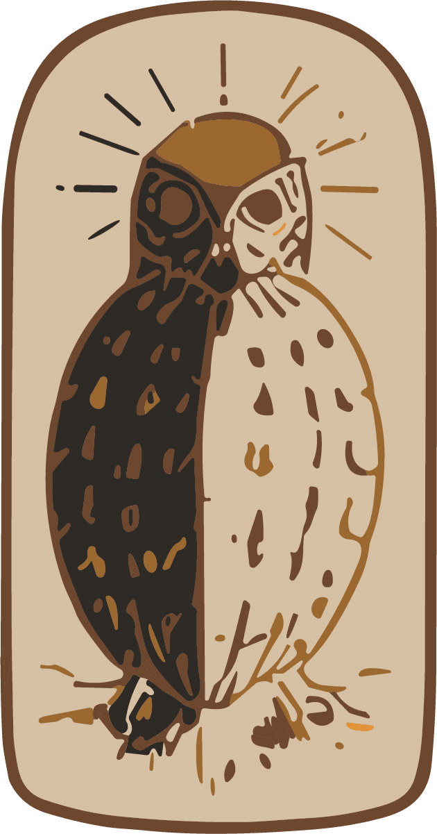 Split Owl SVG Contrasting Halves Vector - Image 1