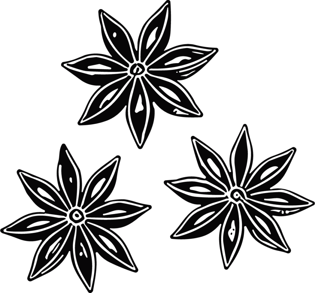 Star Anise Bold Silhouette Vector