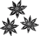 Star Anise Bold Silhouette Vector