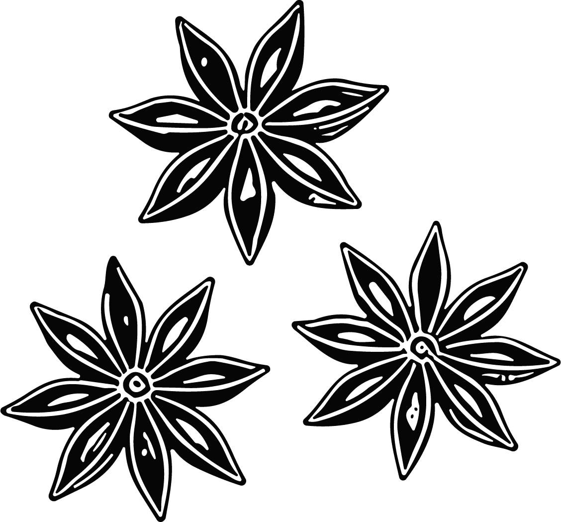 Star Anise Bold Silhouette Vector - Image 1