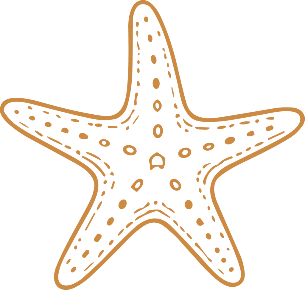 Starfish SVG Textured Outline Vector