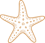 Starfish SVG Textured Outline Vector