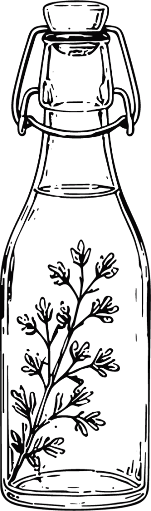 Swing Top Bottle Botanical Line Sketch Vector