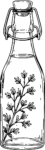Swing Top Bottle Botanical Line Sketch Vector