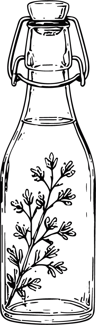 Swing Top Bottle Botanical Line Sketch Vector - Image 1