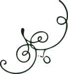 Swirl Flourish SVG Elegant Curls Vector